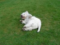 Klik op de foto voor groter formaat